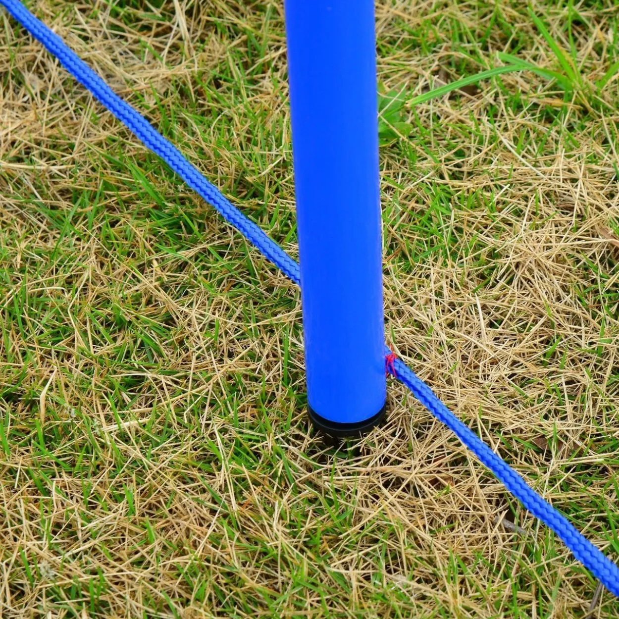 Agility-Übungs-Set Slalom-Hürden-Sprungring 3 in 1 Hundesport Trainingsplatz PE Blau+Rot