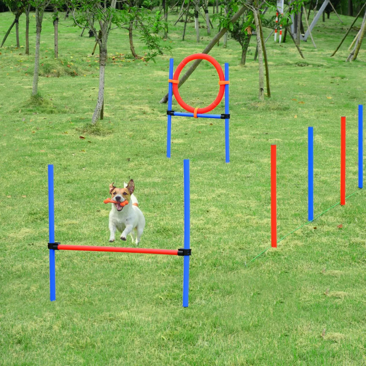 Agility-Übungs-Set Slalom-Hürden-Sprungring 3 in 1 Hundesport Trainingsplatz PE Blau+Rot