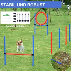 Agility-Übungs-Set Slalom-Hürden-Sprungring 3 in 1 Hundesport Trainingsplatz PE Blau+Rot