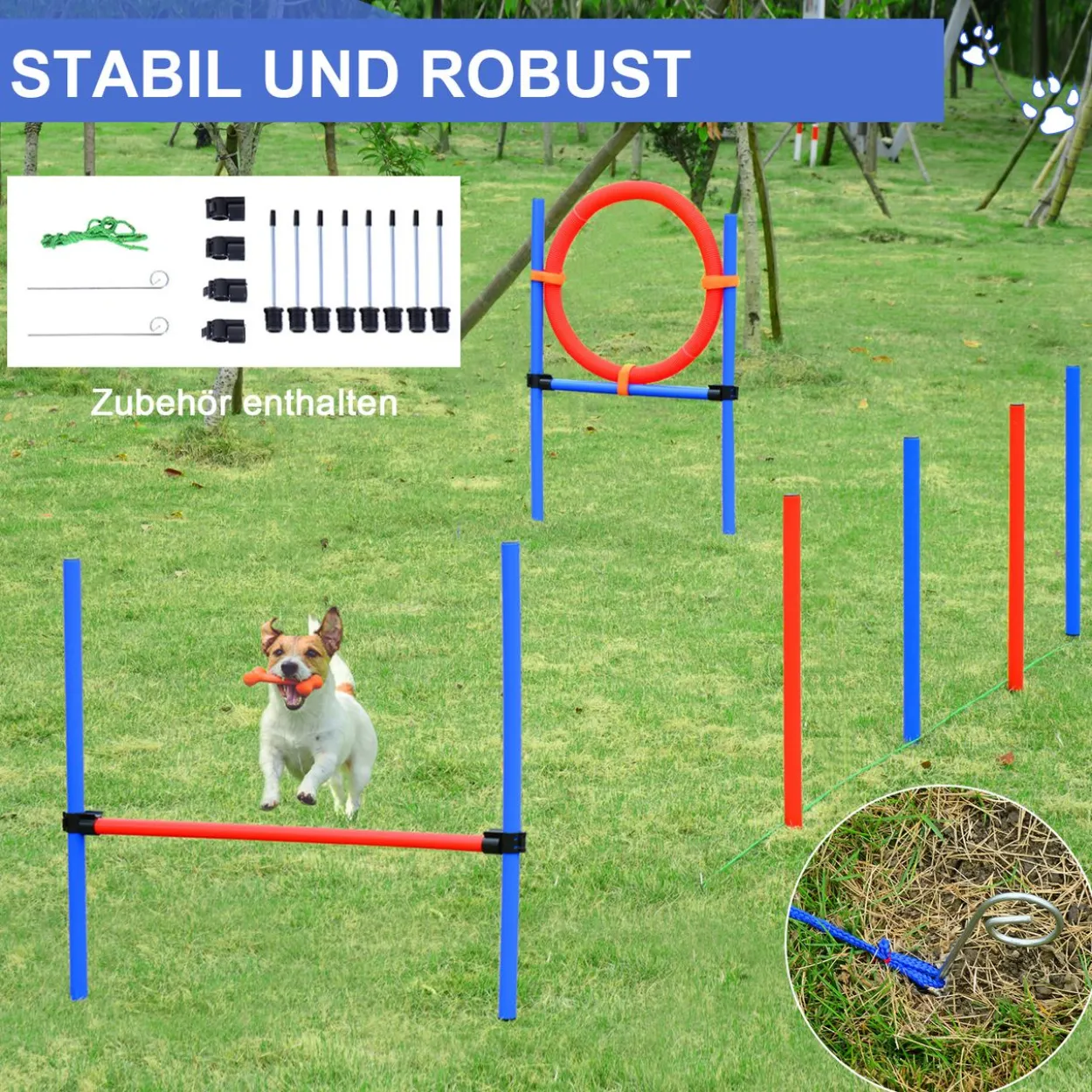 Agility-Übungs-Set Slalom-Hürden-Sprungring 3 in 1 Hundesport Trainingsplatz PE Blau+Rot