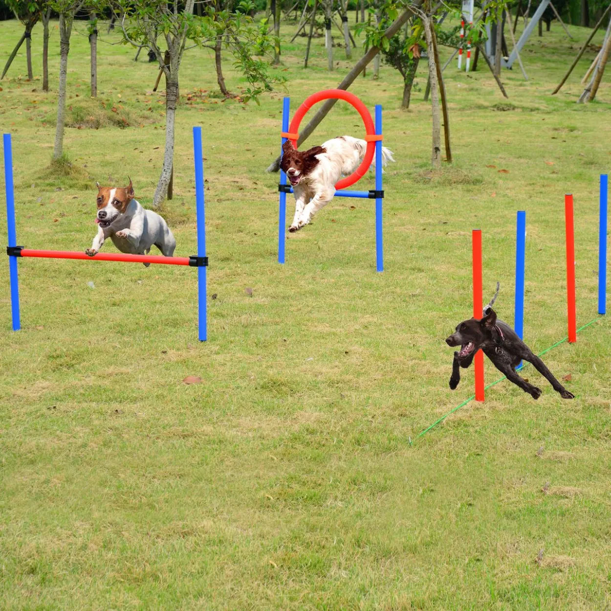 Agility-Übungs-Set Slalom-Hürden-Sprungring 3 in 1 Hundesport Trainingsplatz PE Blau+Rot