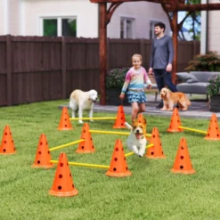 Agility Set Hunde 6-teiliges Agility-Ausrüstung für Hundetraining Steckhürdenset