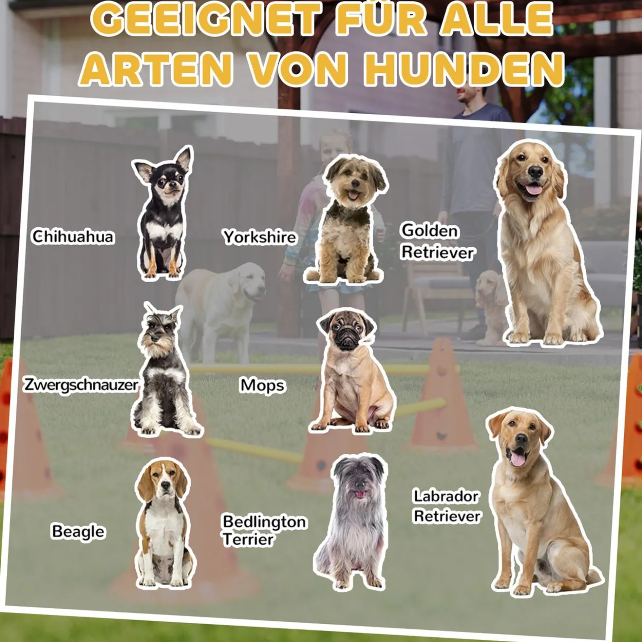 Agility Set Hunde 6-teiliges Agility-Ausrüstung für Hundetraining Steckhürdenset