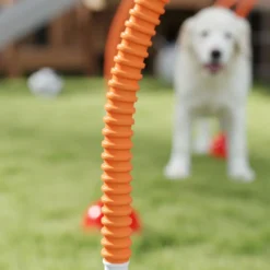 Agility Set Hunde 4-teiliges befüllbar Agility-Ausrüstung für Hundetraining