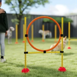 Agility Set Hunde 3-teiliges befüllbar Agility-Ausrüstung für Hundetraining