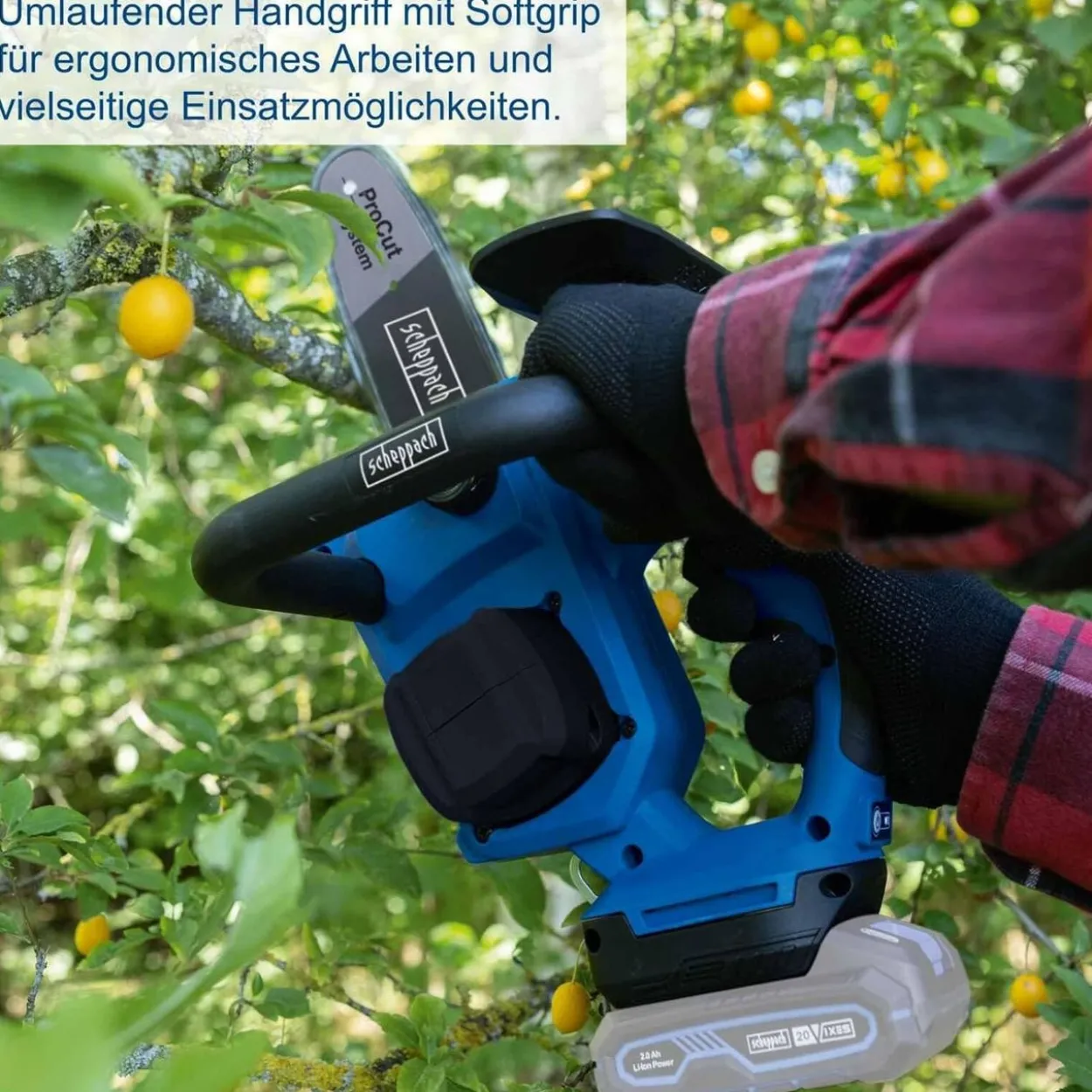 Akku-Baumpflegesäge BC-TCS200-X - Set L