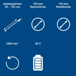 Akku-Unkrautfugenbürste C-FR100-X - SET S