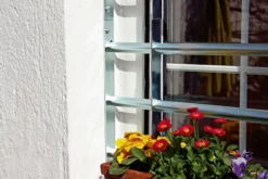 Alberts Fenstergitter Secorino Basic 700Â - 1050Â x 450 mm