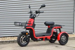 ARI 145 Elektroroller Lastenmoped E-Roller inkl. Speditionskosten & vor Ort Einweisung