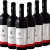 ARTISAN Schwarze Mädchentraube (Feteasca Neagra) DOC - 6er Karton