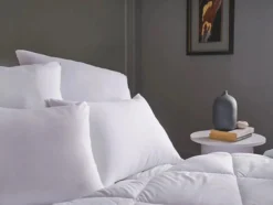 Aryasoft Kopfkissen mit Microfaserfüllung 2 stück 80x40 | waschbar 30 Grad