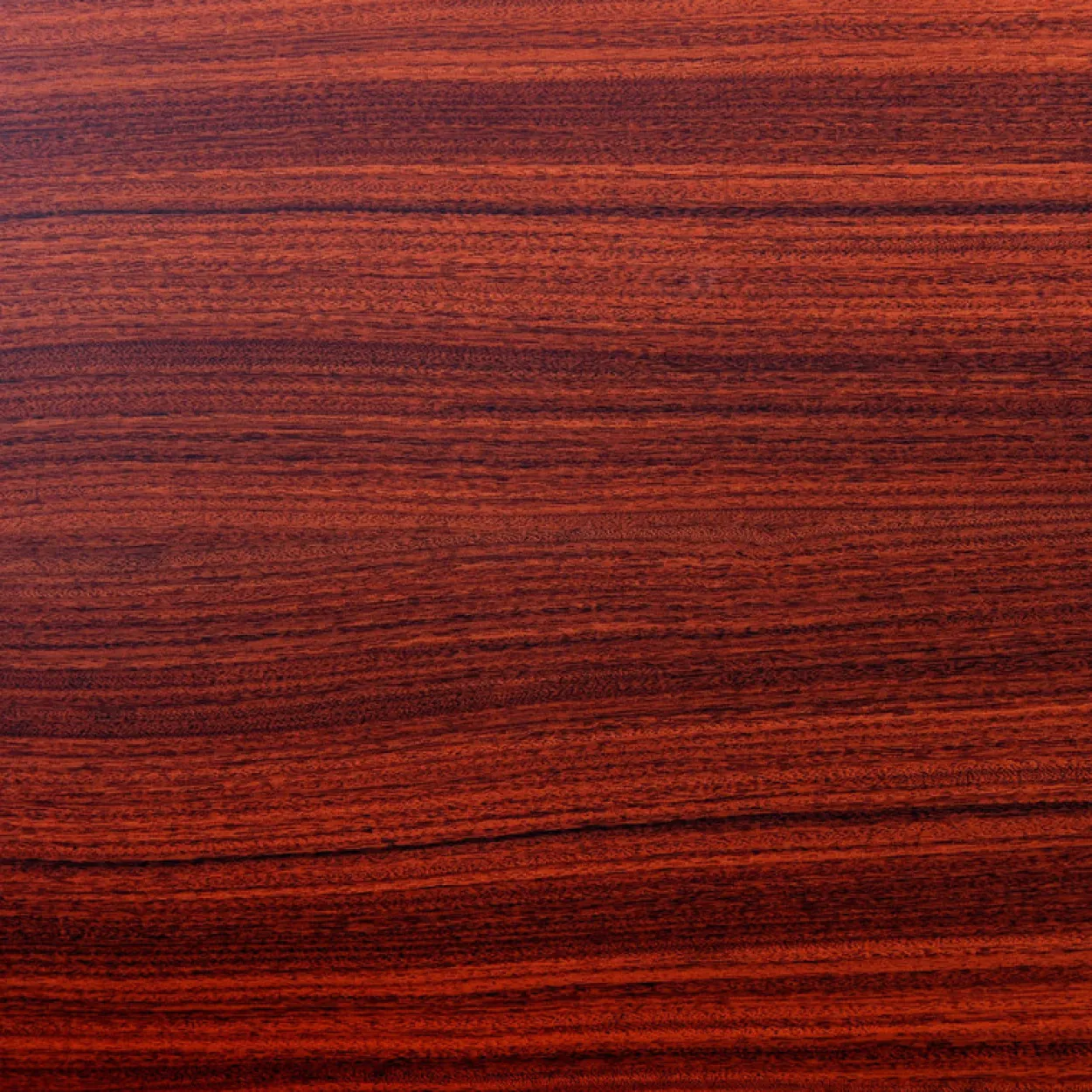 A.S. Création - The Color Kitchen Holzlasur Palisander 2,5L