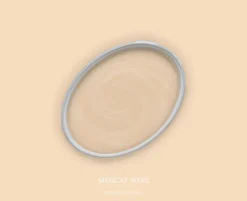 A.S. Création - Wandfarbe Beige "Muscat Wine" 2,5L