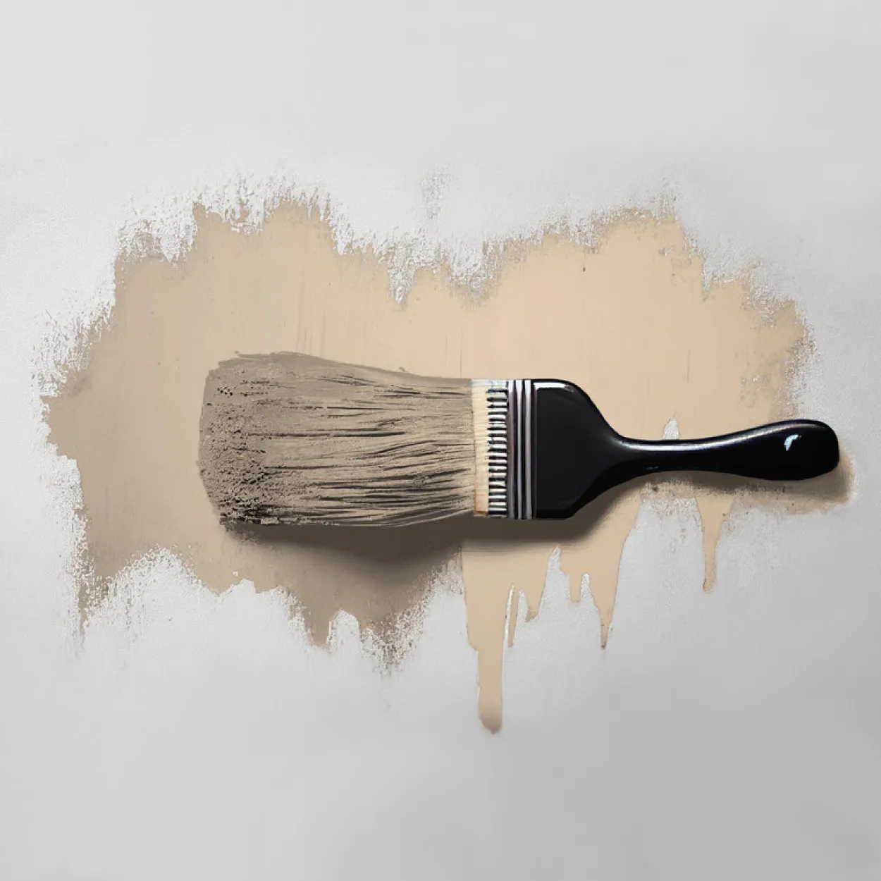 A.S. Création - Wandfarbe Beige "Nutty Nutmeg" 2,5L