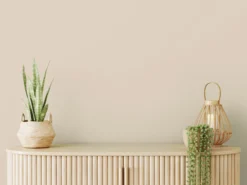 A.S. Création - Wandfarbe Beige "Sweet Sesame" 2,5L