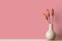 A.S. Création - Wandfarbe Pink 