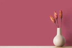 A.S. Création - Wandfarbe Pink 
