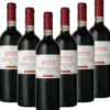 Barbera Asti Superiore DOCG Italien trocken