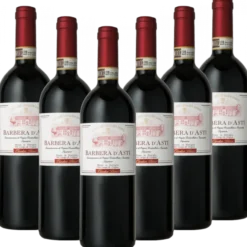 Barbera Asti Superiore DOCG Italien trocken