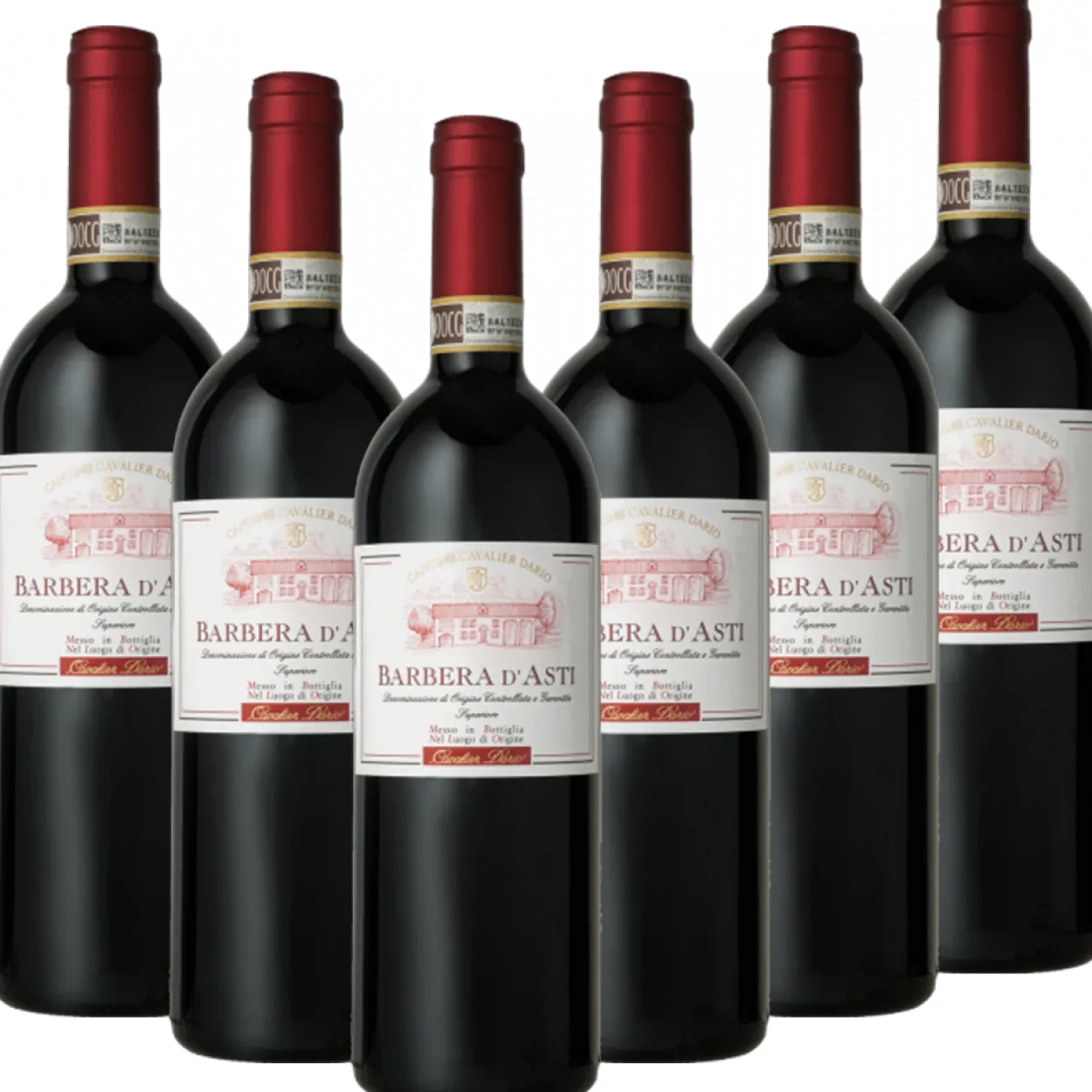 Barbera Asti Superiore DOCG Italien trocken