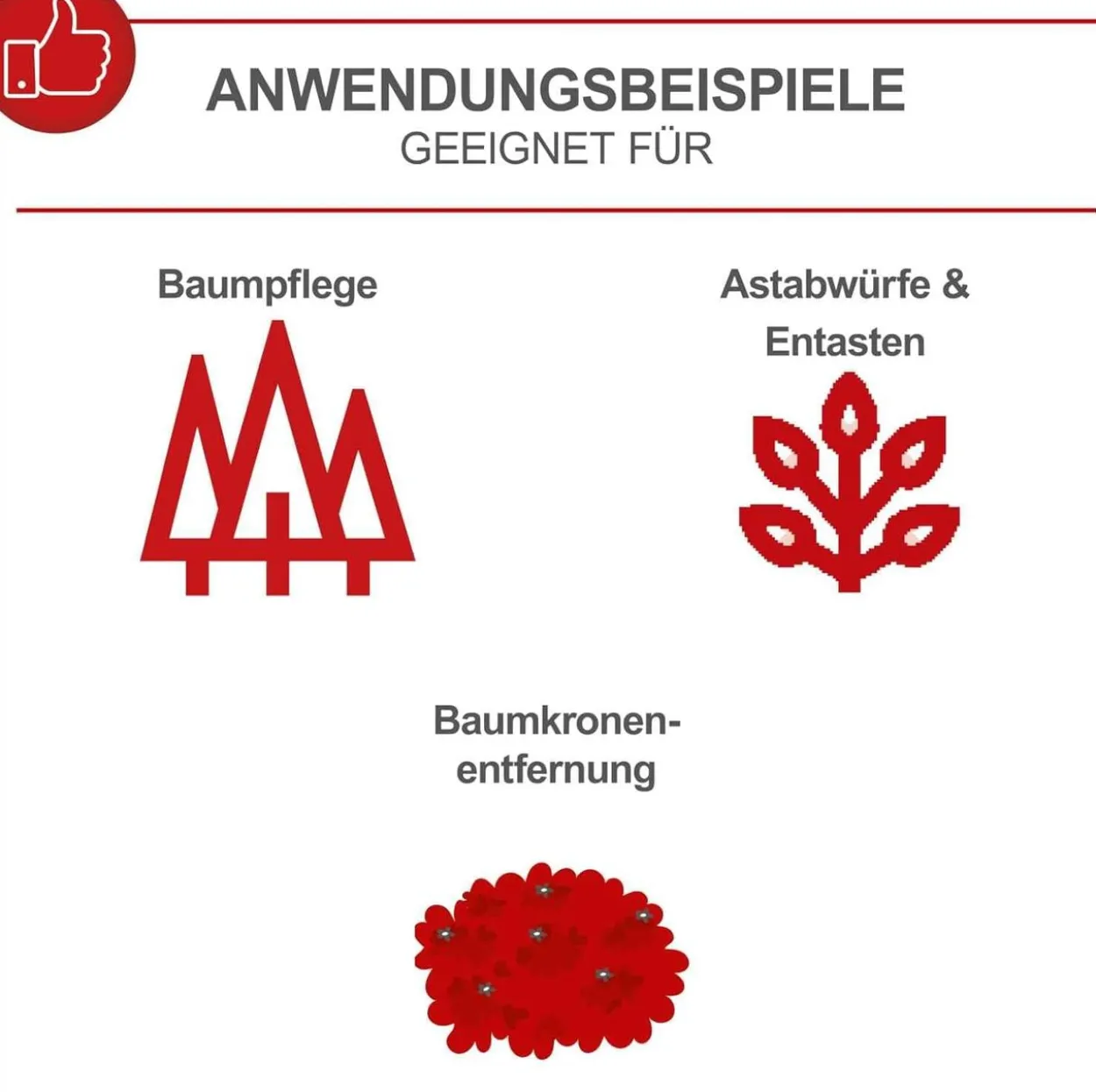 Benzin-Baumpflegesäge PCS26