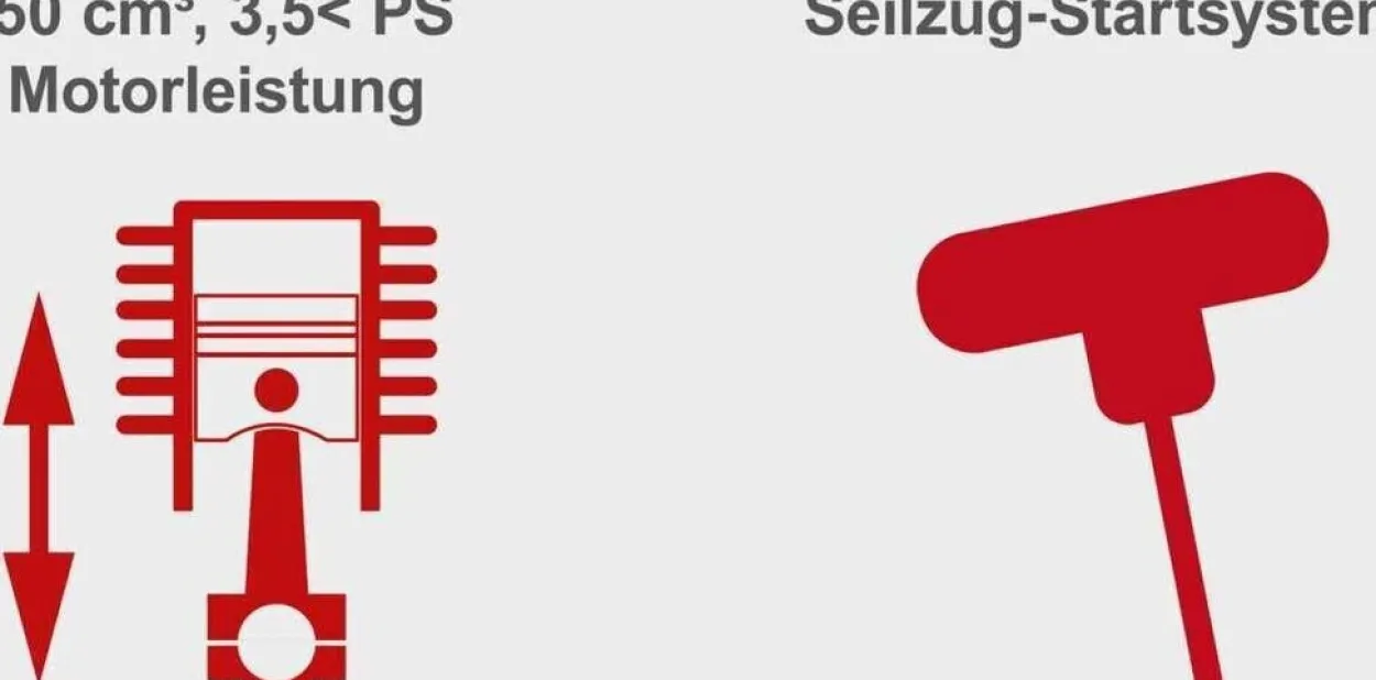 Benzin-Rasenmäher mit Radantrieb MS161-46