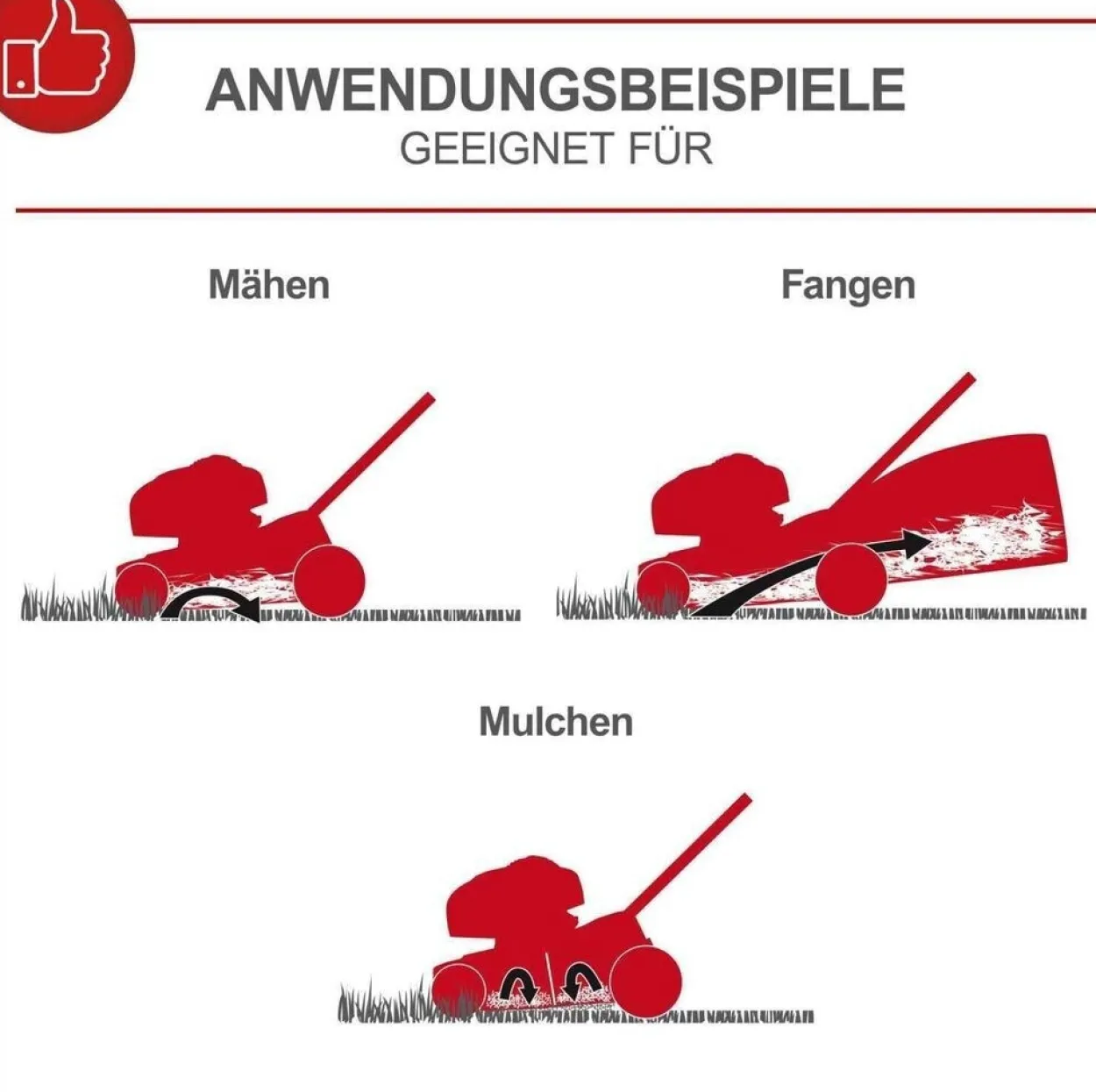 Benzin-Rasenmäher mit Radantrieb MS161-46