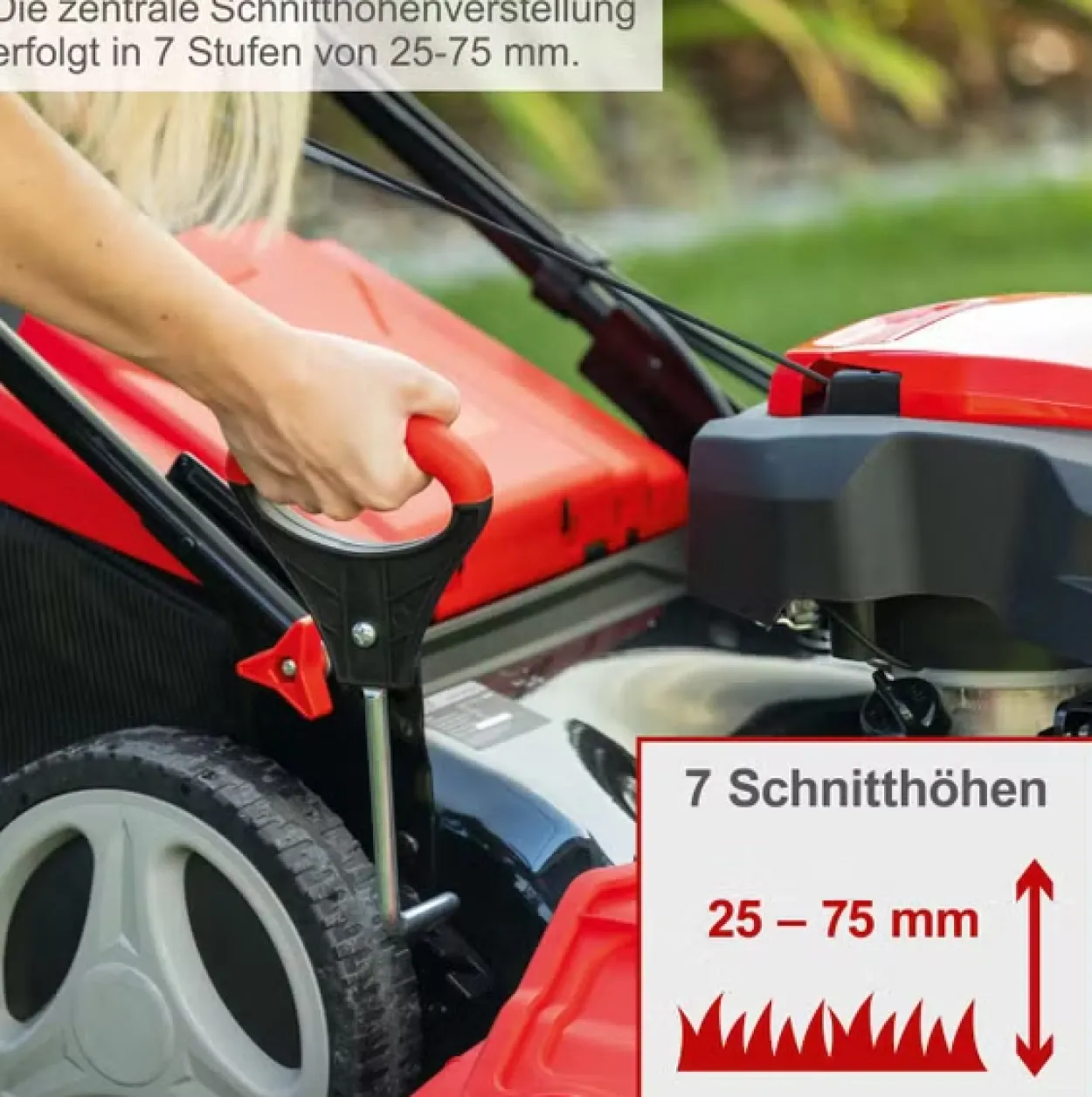 Benzin Rasenmäher MS197-51-3W Trike