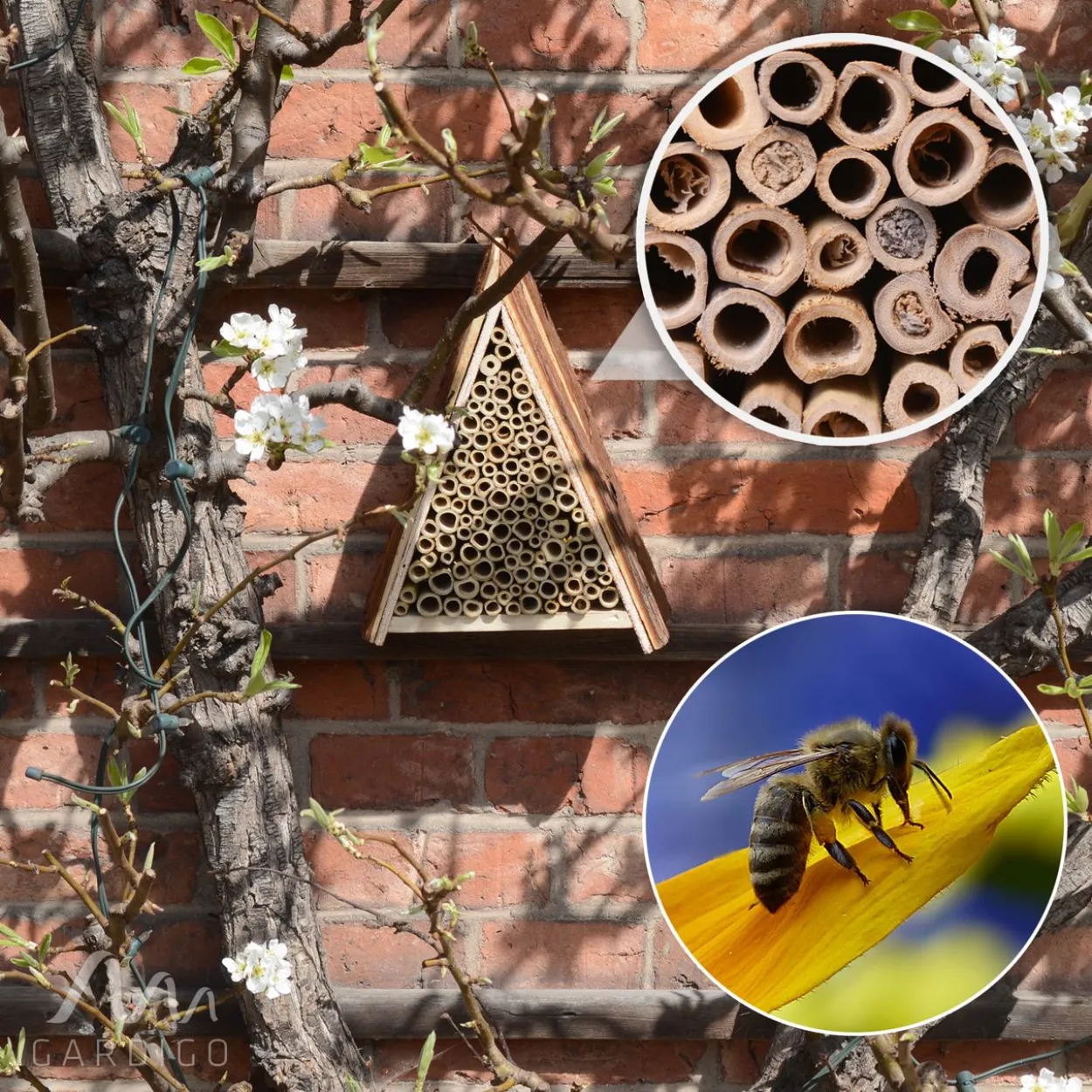 Bienenhotel
