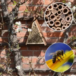 Bienenhotel