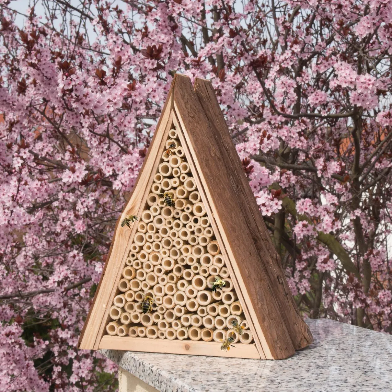 Bienenhotel