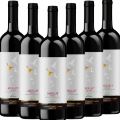 Bio-Merlot Sicilia DOC Colomba Bianca Italien trocken - 6er Karton