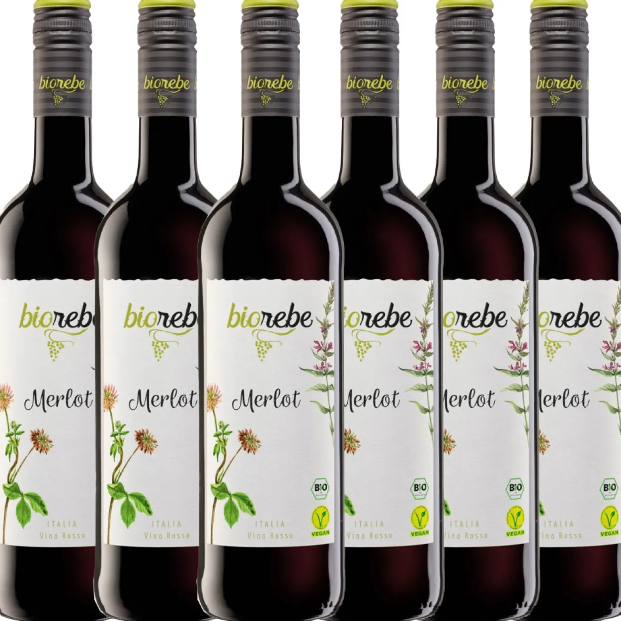 Bio Merlot trocken 0,75 l - 6er Karton