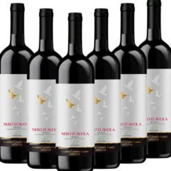 Bio-Nero d Avola Sicilia DOC Colomba Bianca Italien trocken - 6er Karton