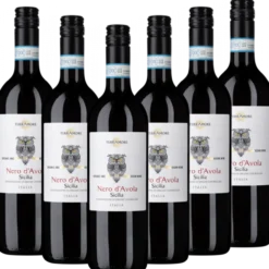 Bio-Nero d Avola Sicilia DOC TerrAmore Italien trocken - 6er Karton