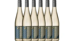 Blanc de noir Trollinger weißgekeltert 0,75L 6er Karton