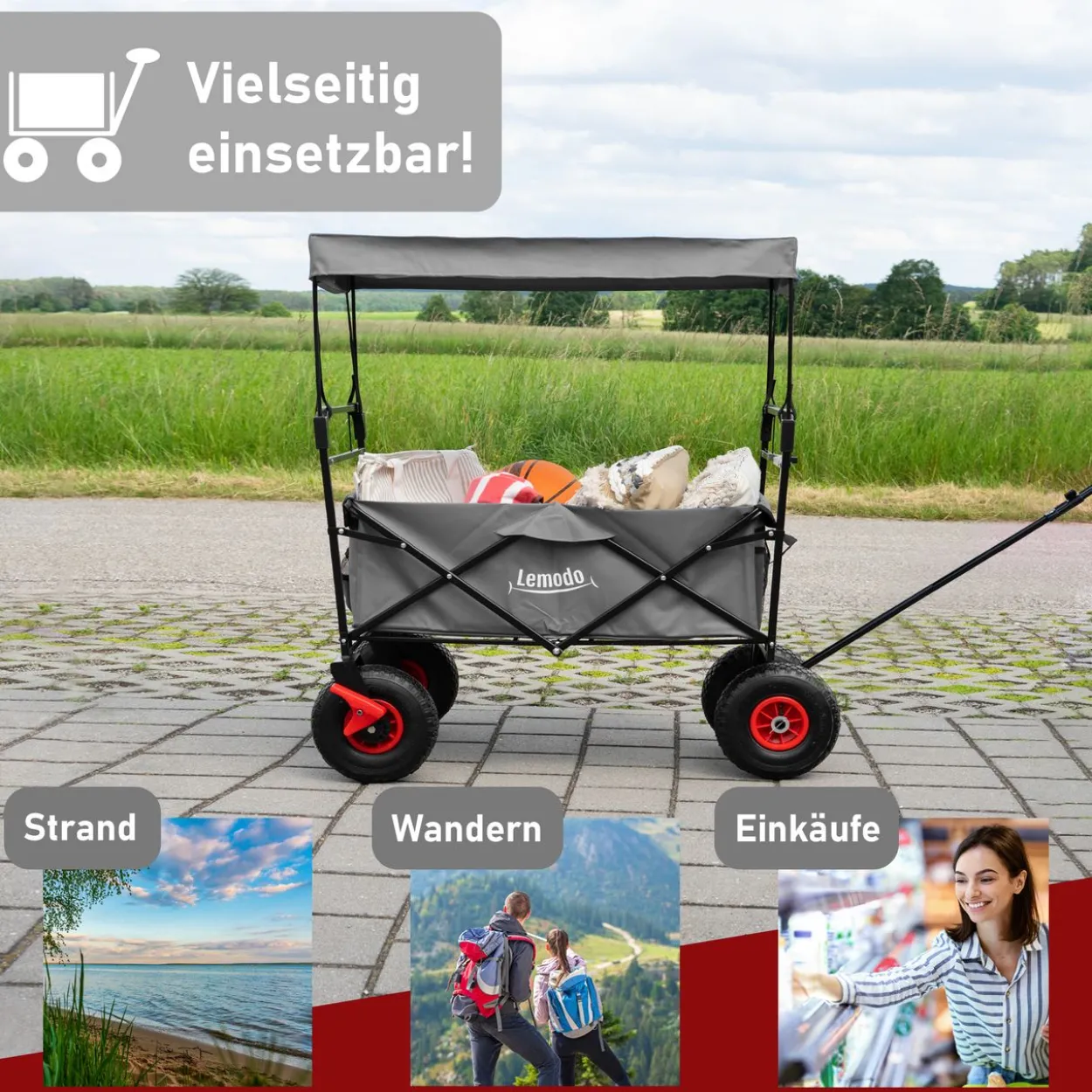 Bollerwagen faltbar mit Dach, grau