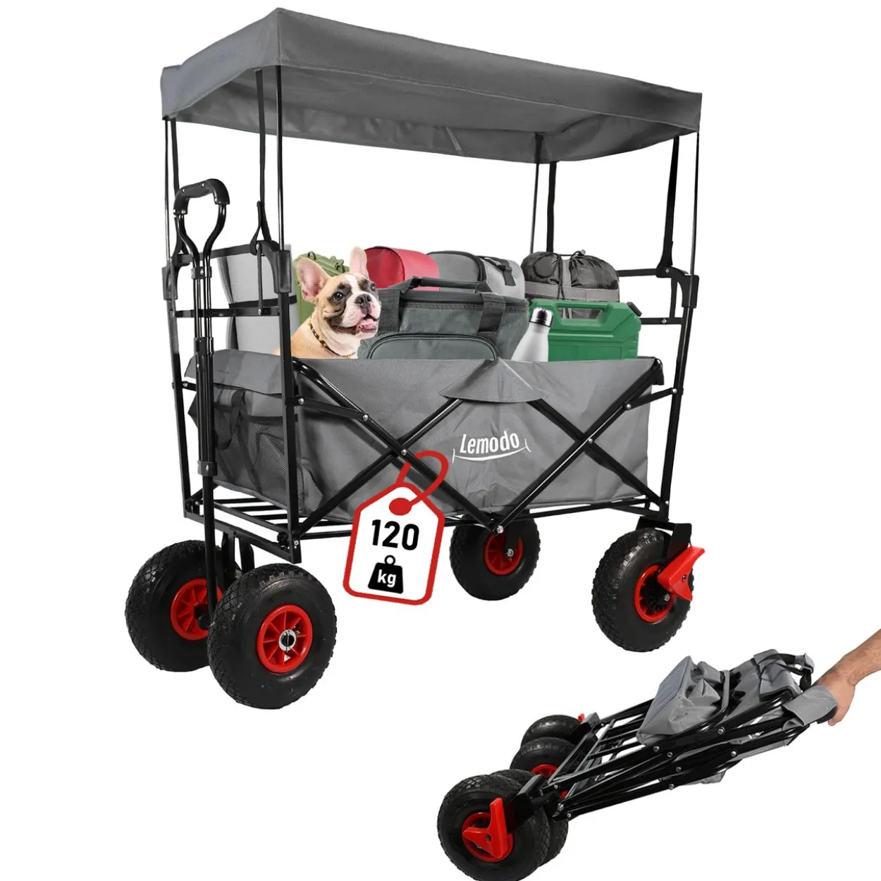 Bollerwagen faltbar mit Dach, grau