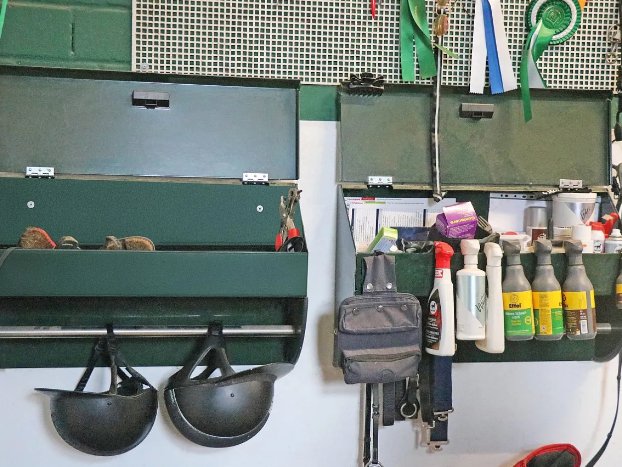 Boxenschrank Spinni tannengrün