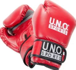 Boxhandschuh Fun – 14 Unzen
