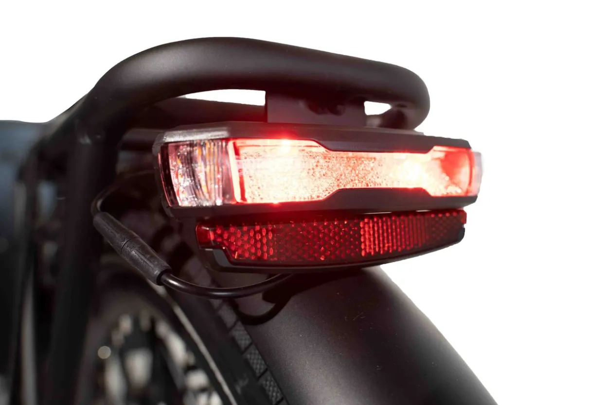 Caboo Cargo E-Bike Familiy C
