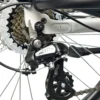 Cargo City E-Bike Cargado
