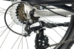 Cargo City E-Bike Cargado