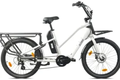 Cargo City E-Bike Cargado