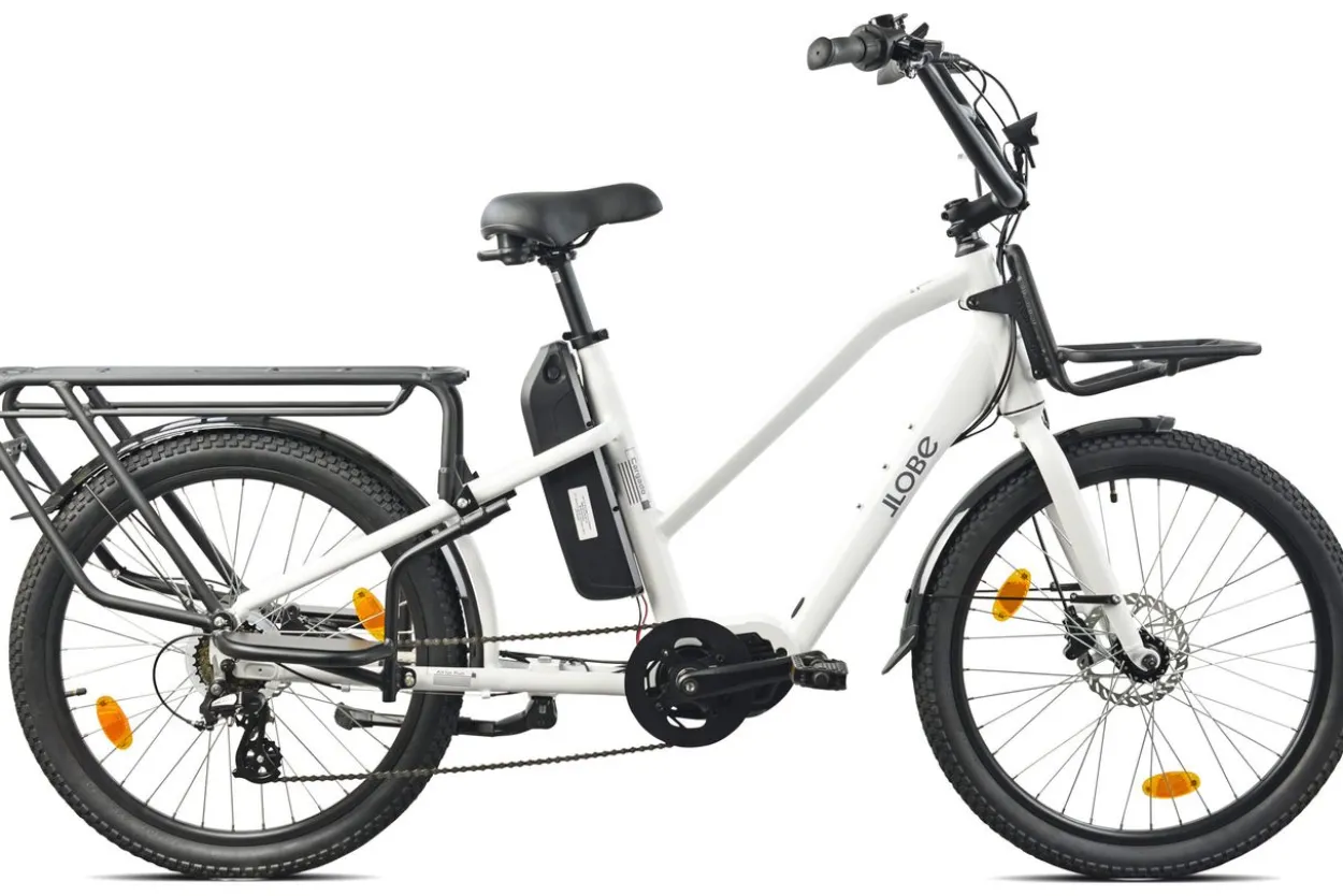 Cargo City E-Bike Cargado
