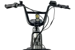 Cargo City E-Bike Cargado