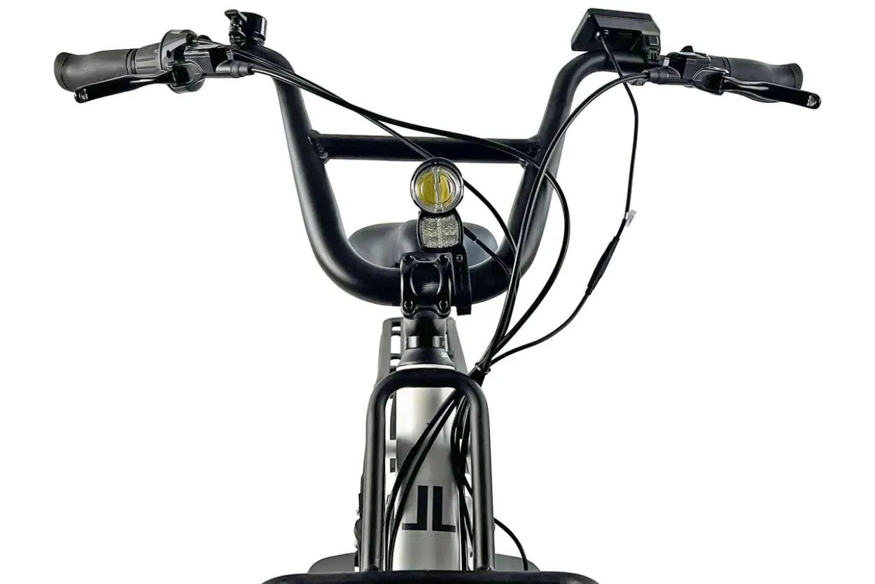Cargo City E-Bike Cargado