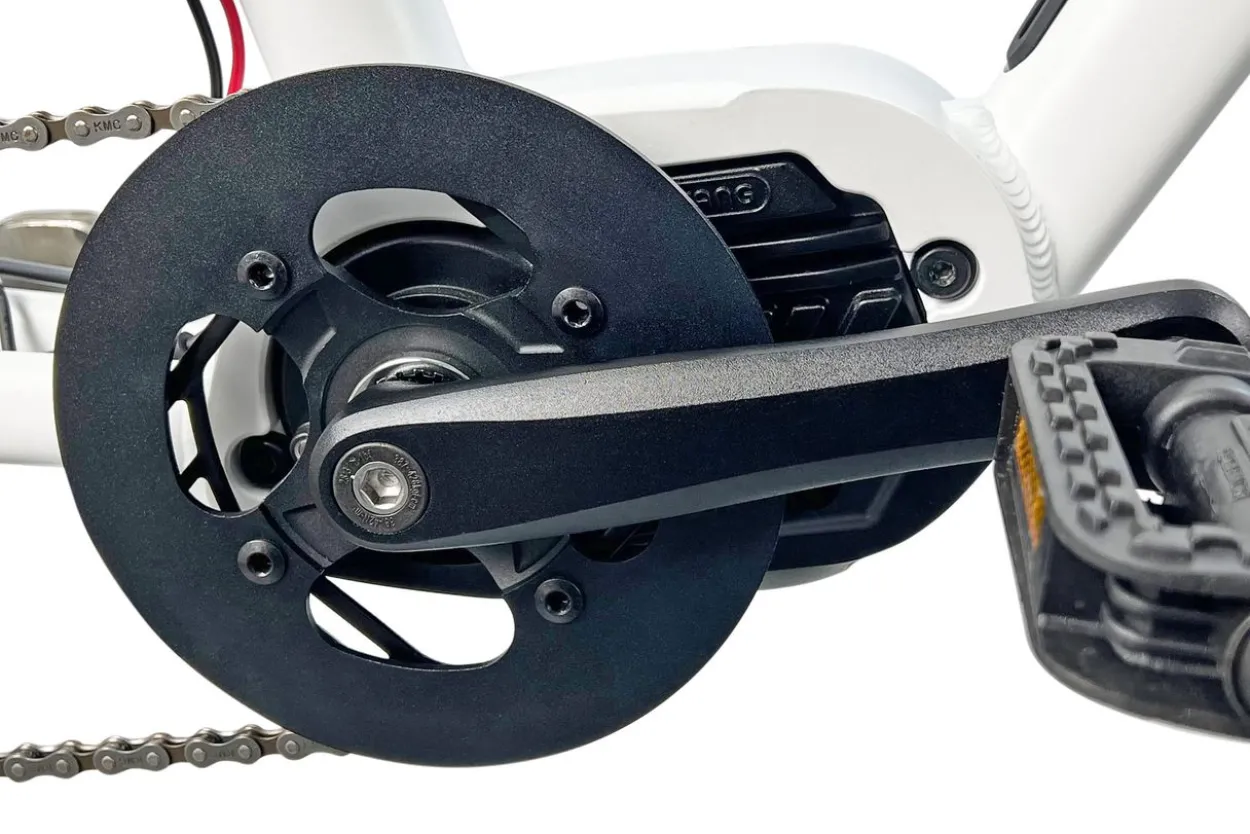 Cargo City E-Bike Cargado