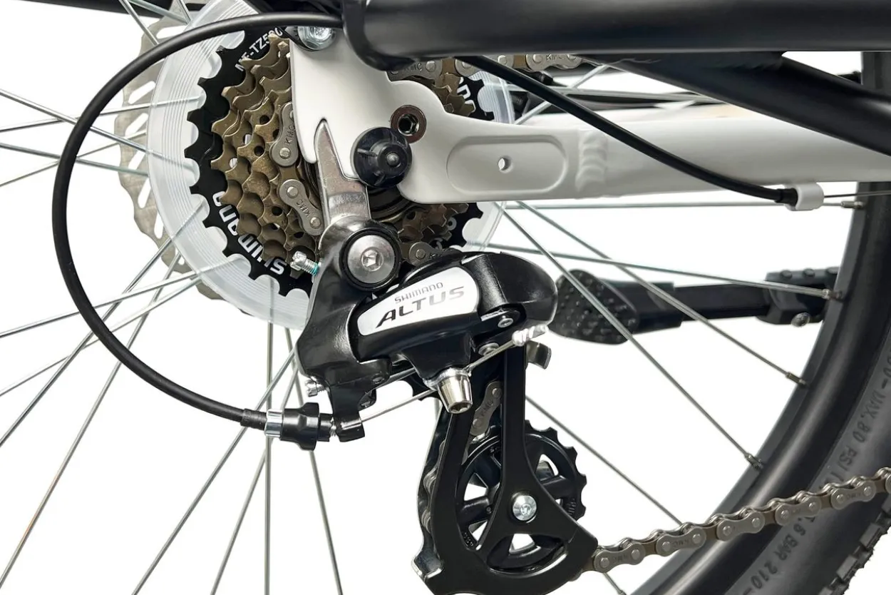 Cargo City E-Bike Cargado