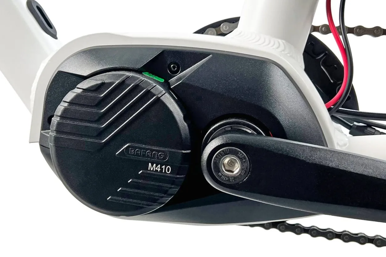Cargo City E-Bike Cargado